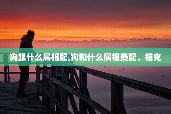 狗跟什么属相配,狗和什么属相最配、相克