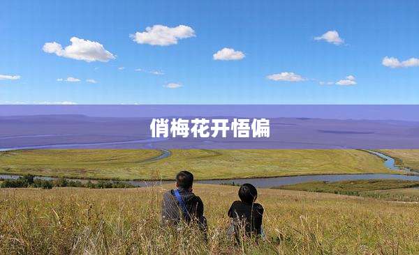 俏梅花开悟偏