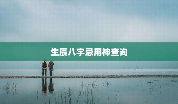 生辰八字忌用神查询