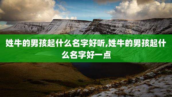 姓牛的男孩起什么名字好听,姓牛的男孩起什么名字好一点