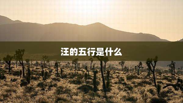 汪的五行是什么