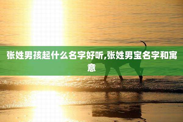 张姓男孩起什么名字好听,张姓男宝名字和寓意