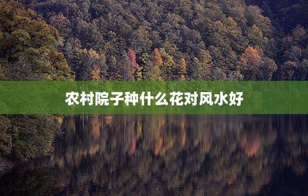 农村院子种什么花对风水好