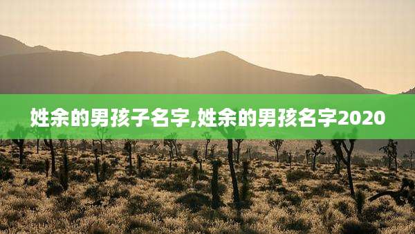 姓余的男孩子名字,姓余的男孩名字2020