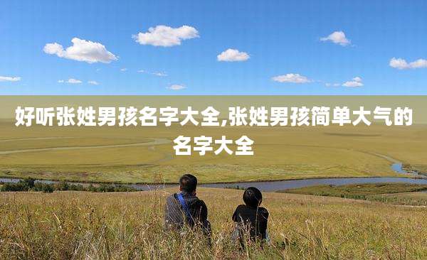 好听张姓男孩名字大全,张姓男孩简单大气的名字大全