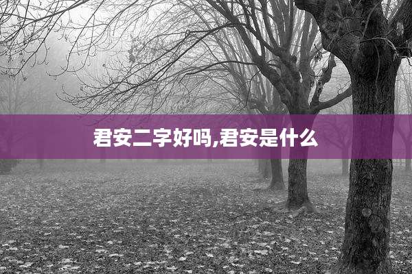 君安二字好吗,君安是什么