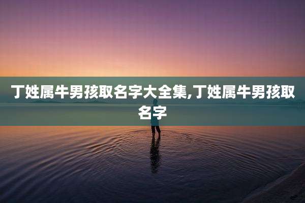丁姓属牛男孩取名字大全集,丁姓属牛男孩取名字