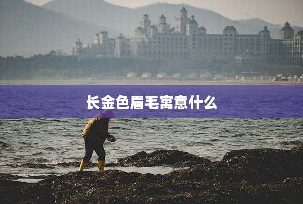 长金色眉毛寓意什么