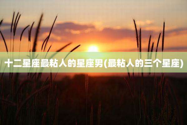 十二星座最粘人的星座男(最粘人的三个星座)