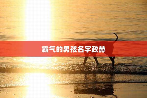 霸气的男孩名字政赫