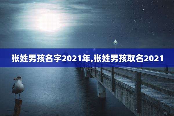 张姓男孩名字2021年,张姓男孩取名2021