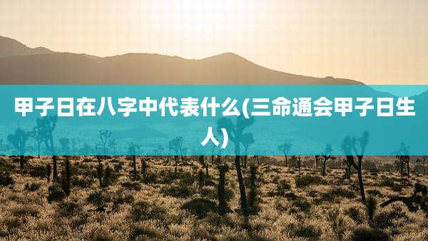 甲子日在八字中代表什么(三命通会甲子日生人)