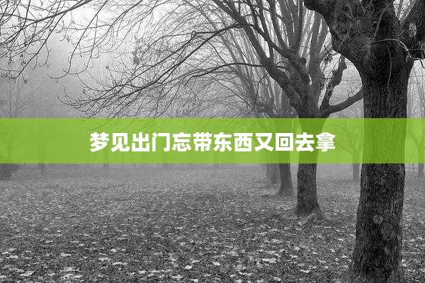 梦见出门忘带东西又回去拿