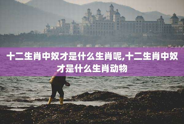 十二生肖中奴才是什么生肖呢,十二生肖中奴才是什么生肖动物