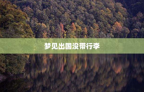 梦见出国没带行李