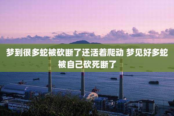 梦到很多蛇被砍断了还活着爬动 梦见好多蛇被自己砍死断了