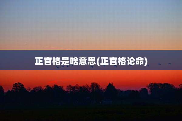 正官格是啥意思(正官格论命)