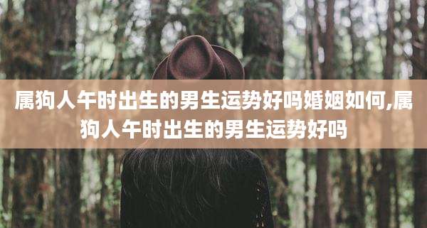 属狗人午时出生的男生运势好吗婚姻如何,属狗人午时出生的男生运势好吗