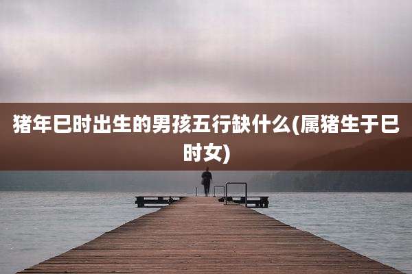 猪年巳时出生的男孩五行缺什么(属猪生于巳时女)