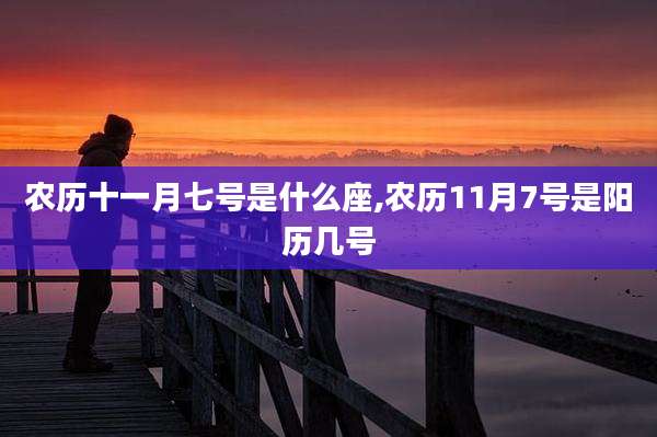 农历十一月七号是什么座,农历11月7号是阳历几号