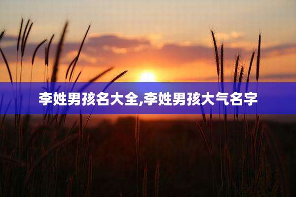 李姓男孩名大全,李姓男孩大气名字