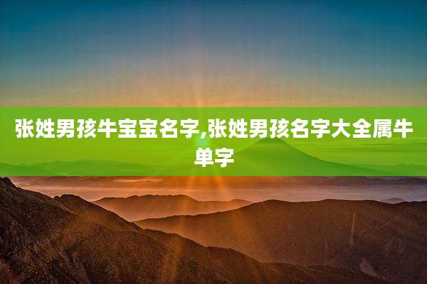 张姓男孩牛宝宝名字,张姓男孩名字大全属牛单字