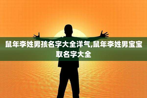 鼠年李姓男孩名字大全洋气,鼠年李姓男宝宝取名字大全