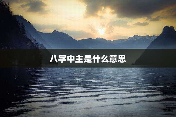 八字中主是什么意思