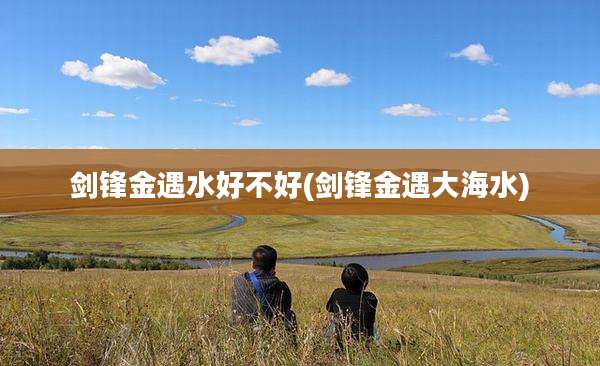 剑锋金遇水好不好(剑锋金遇大海水)