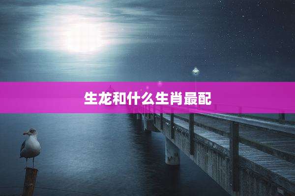生龙和什么生肖最配