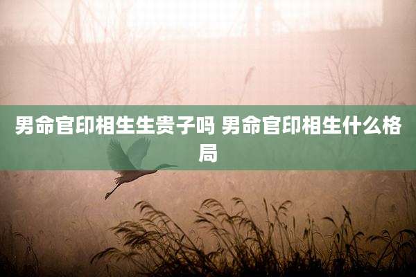 男命官印相生生贵子吗 男命官印相生什么格局