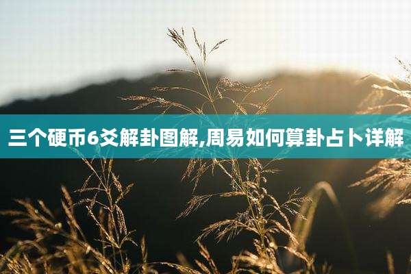 三个硬币6爻解卦图解,周易如何算卦占卜详解