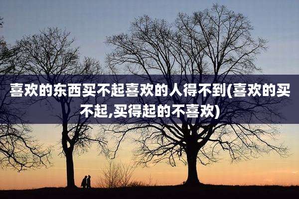 喜欢的东西买不起喜欢的人得不到(喜欢的买不起,买得起的不喜欢)