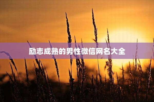 励志成熟的男性微信网名大全
