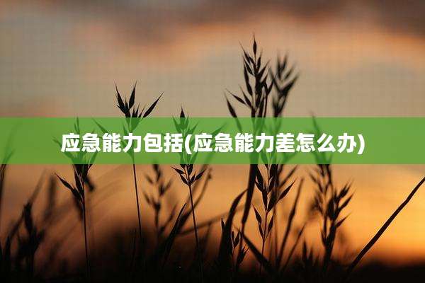 应急能力包括(应急能力差怎么办)