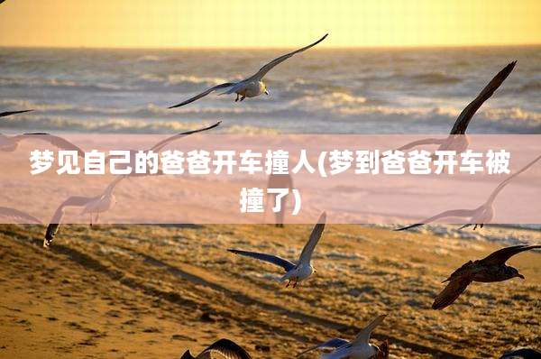 梦见自己的爸爸开车撞人(梦到爸爸开车被撞了)