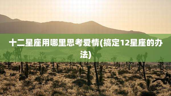 十二星座用哪里思考爱情(搞定12星座的办法)