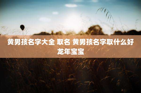 黄男孩名字大全 取名 黄男孩名字取什么好龙年宝宝