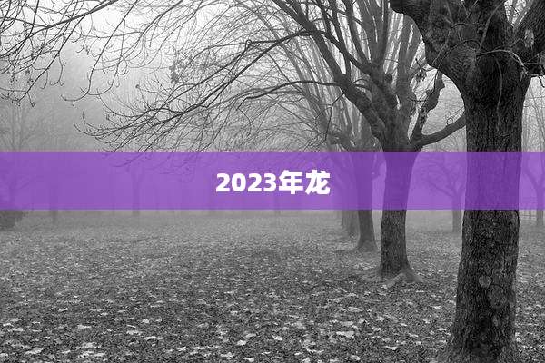 2023年龙
