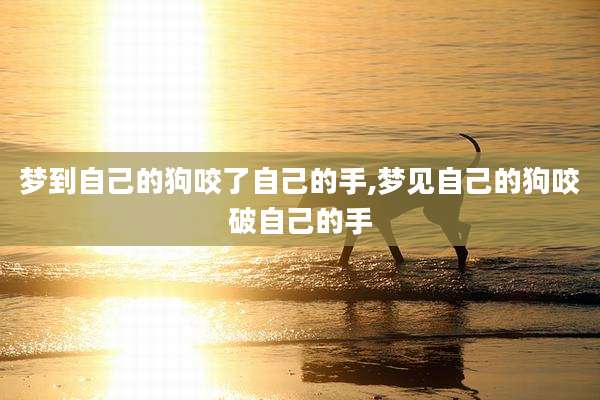 梦到自己的狗咬了自己的手,梦见自己的狗咬破自己的手