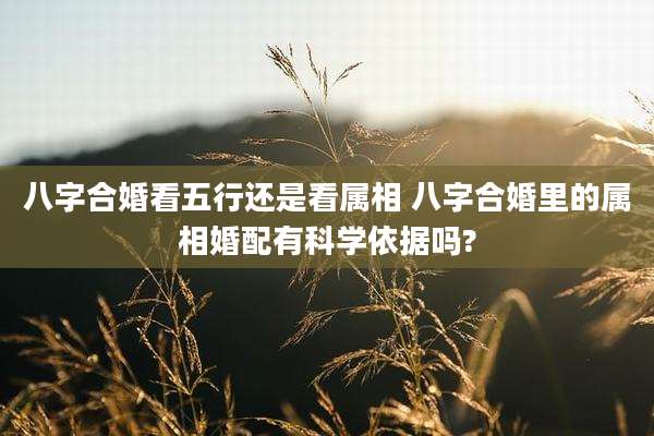 八字合婚看五行还是看属相 八字合婚里的属相婚配有科学依据吗?