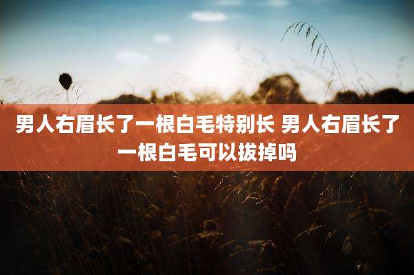 男人右眉长了一根白毛特别长 男人右眉长了一根白毛可以拔掉吗