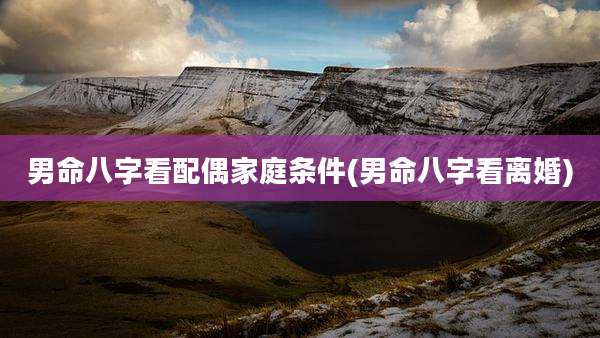 男命八字看配偶家庭条件(男命八字看离婚)