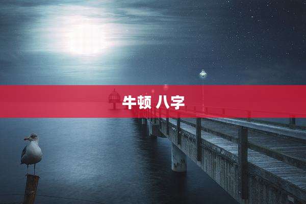 牛顿 八字
