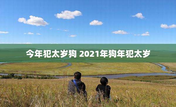 今年犯太岁狗 2021年狗年犯太岁