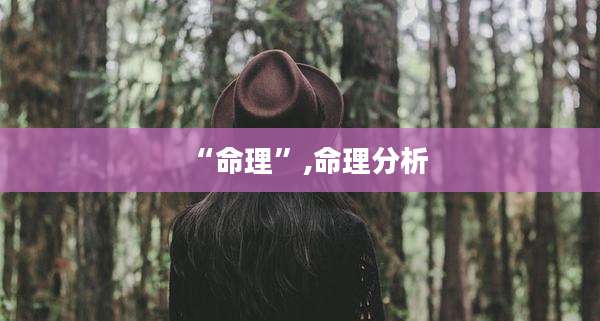 “命理”,命理分析