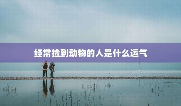 经常捡到动物的人是什么运气