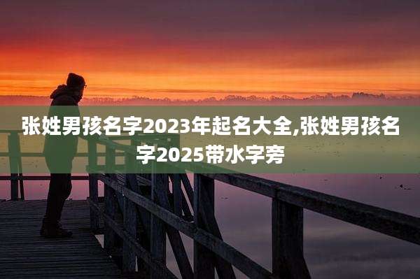 张姓男孩名字2023年起名大全,张姓男孩名字2025带水字旁