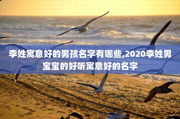 李姓寓意好的男孩名字有哪些,2020李姓男宝宝的好听寓意好的名字