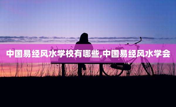 中国易经风水学校有哪些,中国易经风水学会